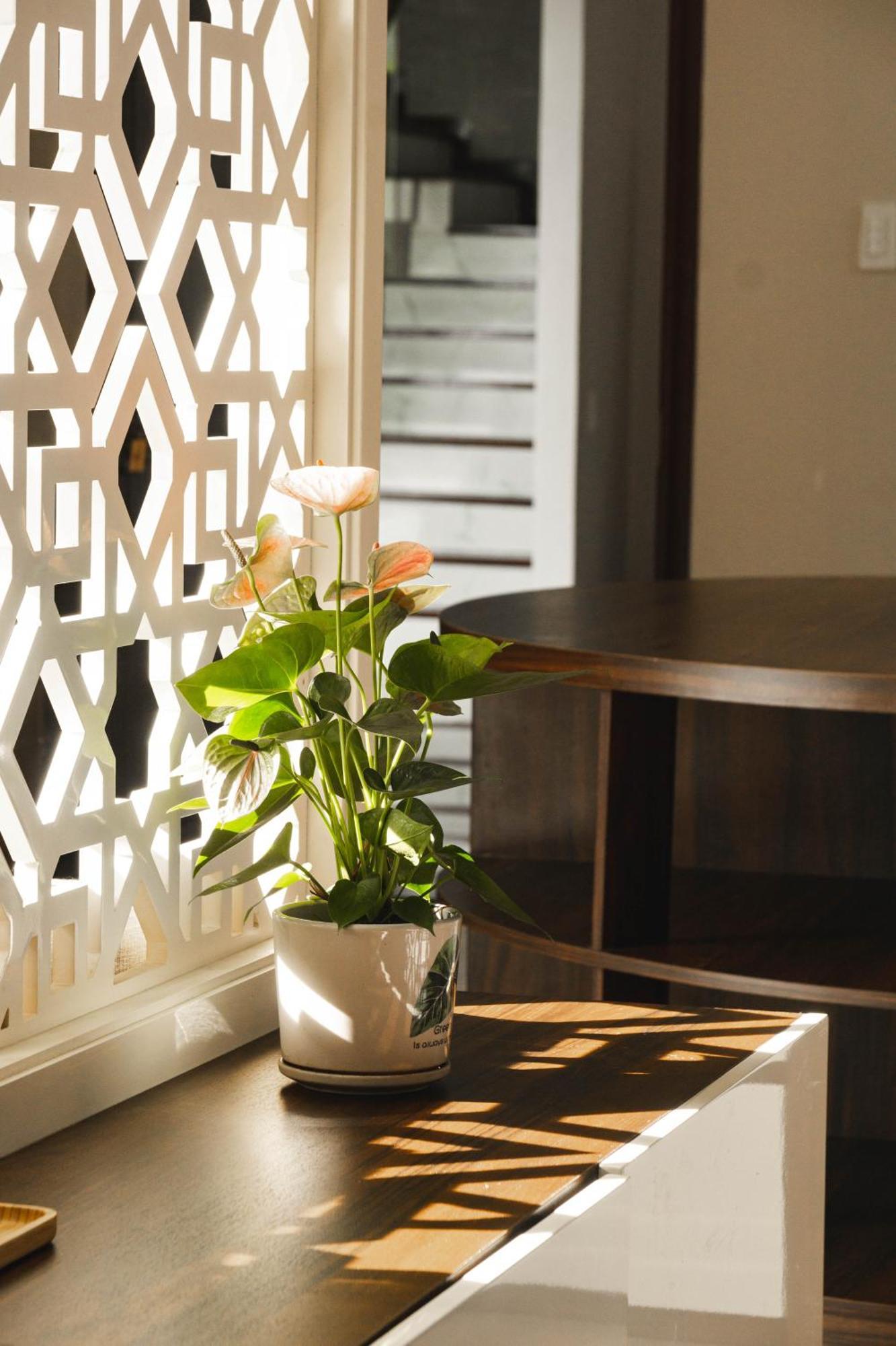 Hotel Shalom House _ Bảo Lộc Esterno foto